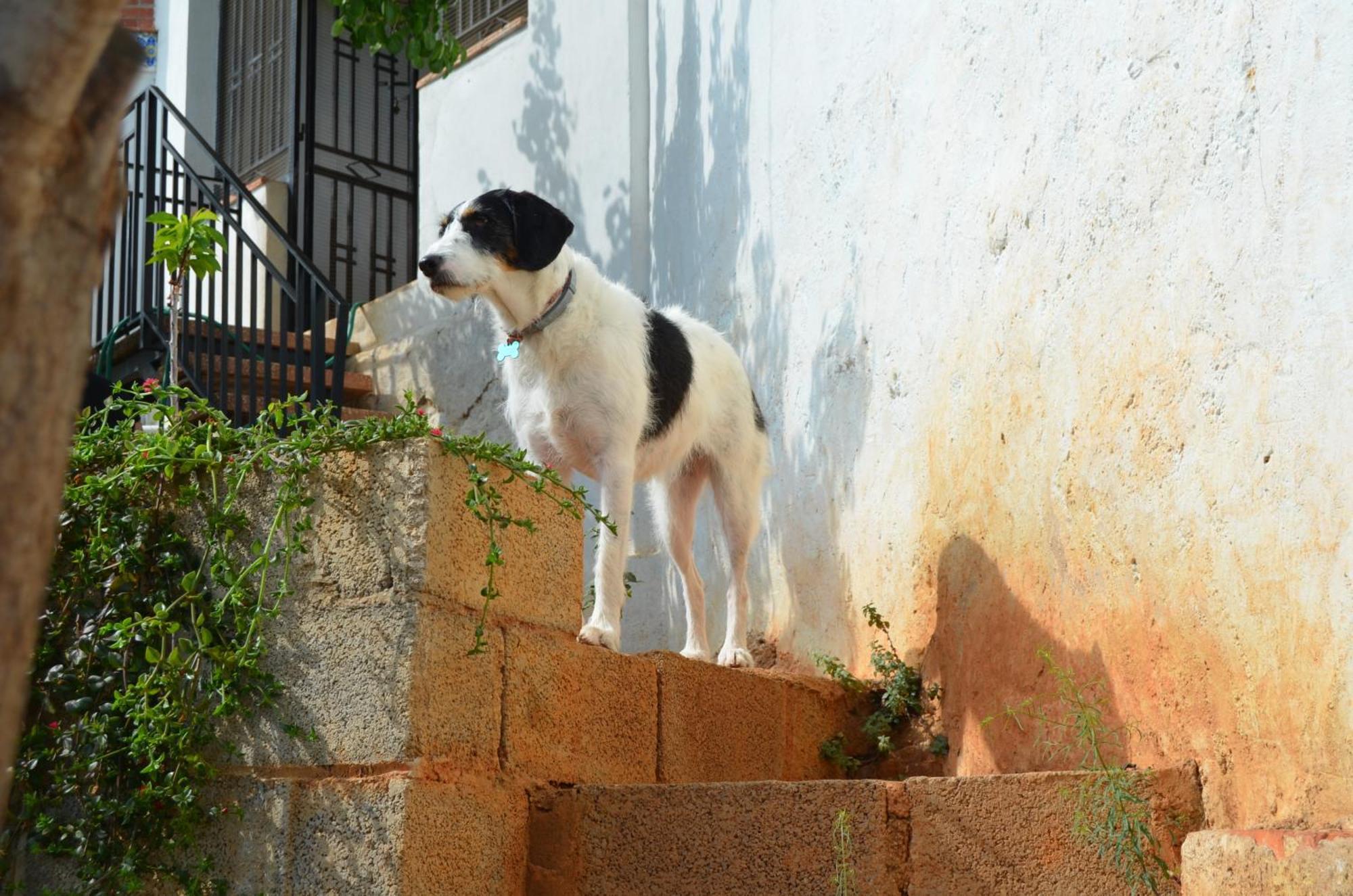Vila Casa El Castell Eslida Exteriér fotografie
